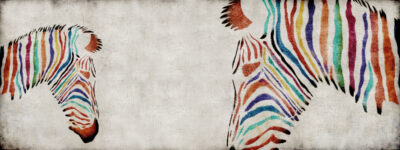 Animals Archivi - Momenti