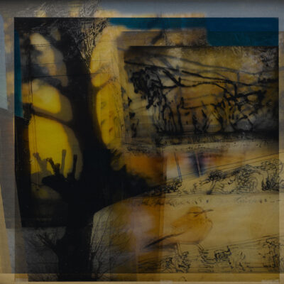 paola babini Archivi - Momenti